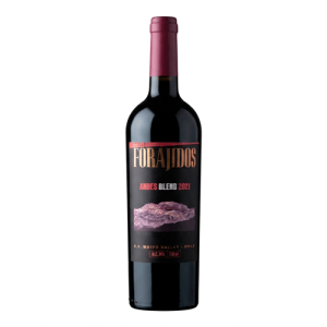 Viña Forajidos Andes Blend Premium 2021